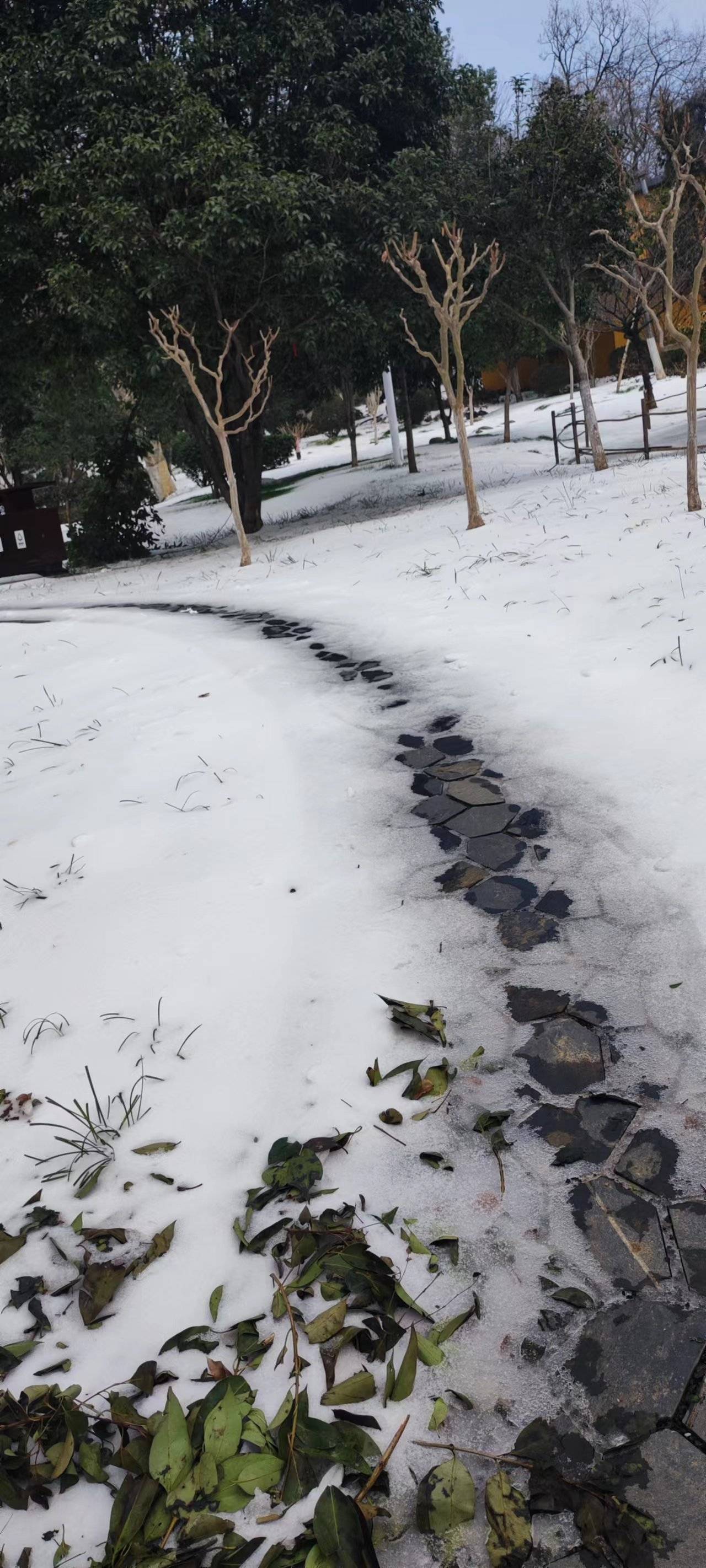 南方冻雨(南方冻雨是哪年发生的)