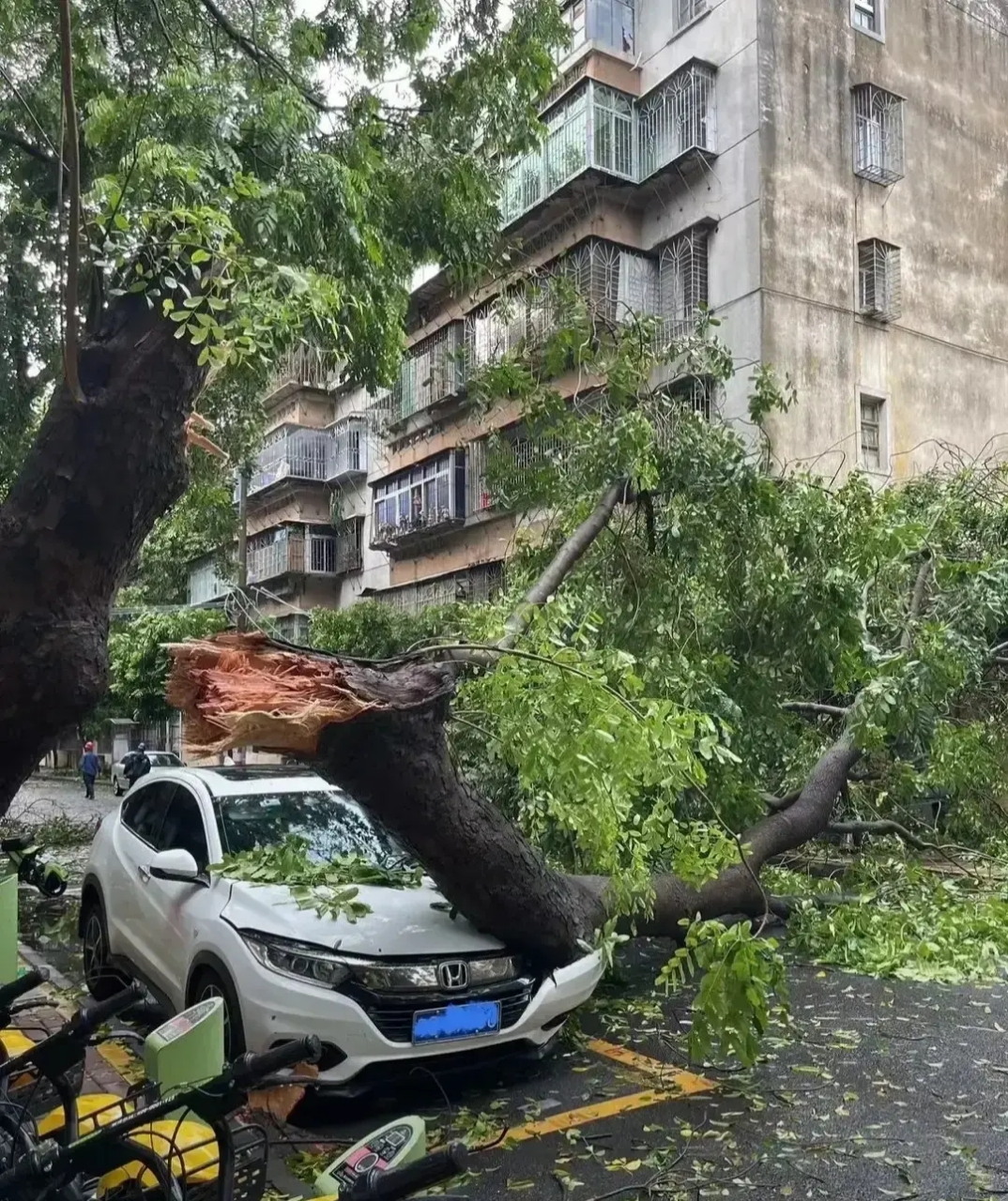 东莞台风(东莞台风预警信号升级)