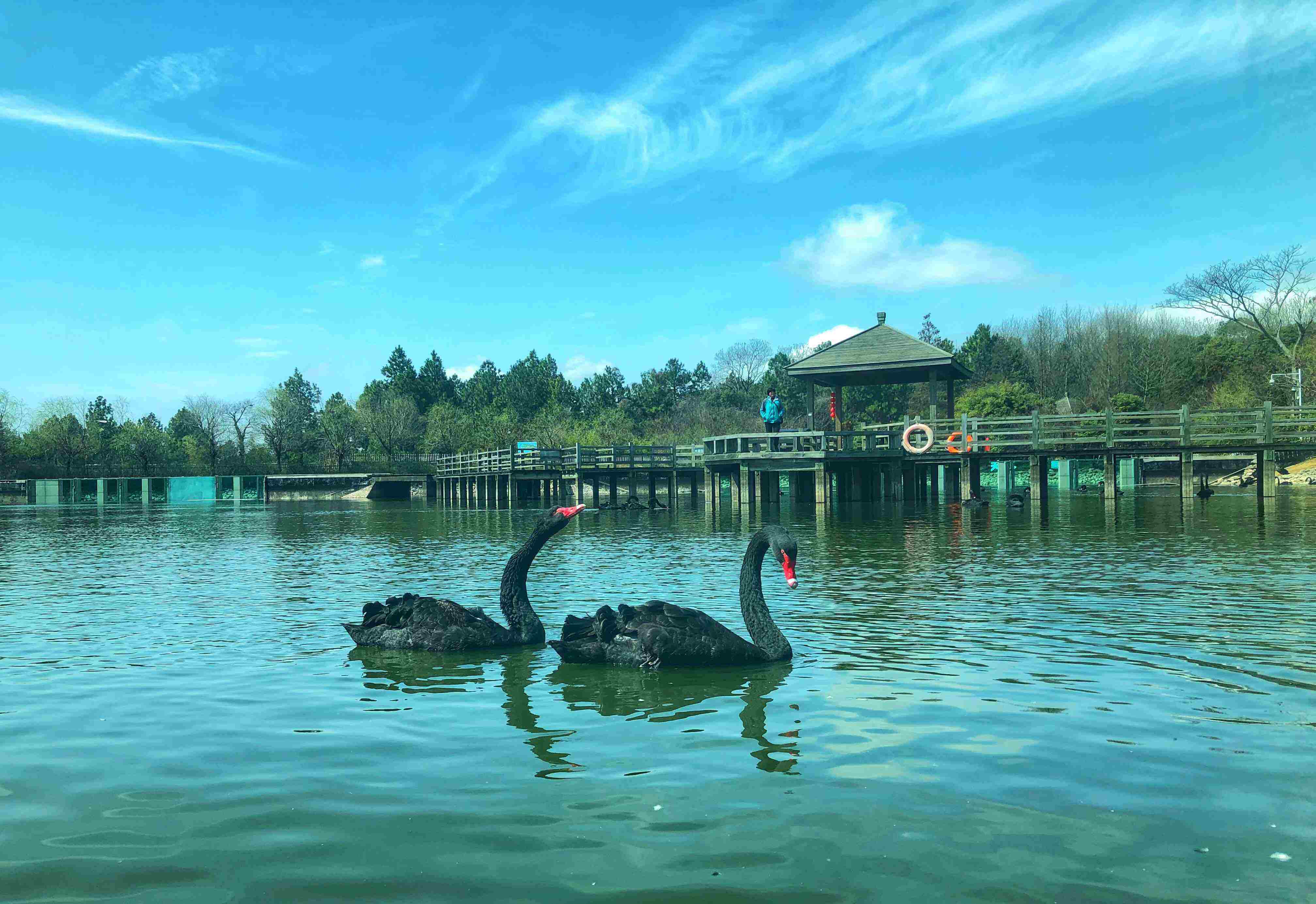 上饶天气(江西上饶又出事了)