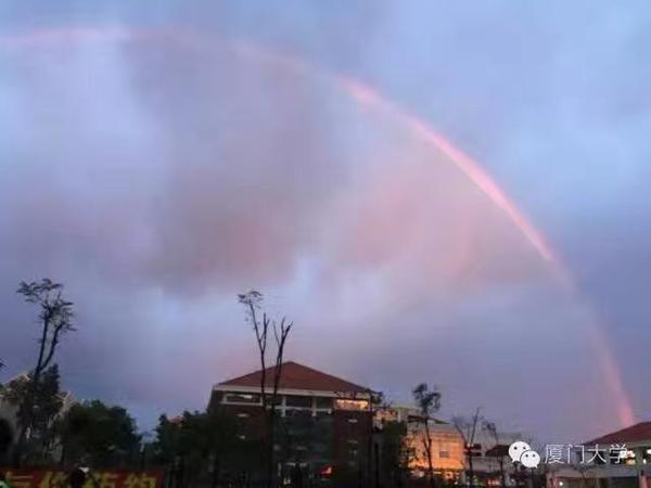 鲶鱼台风(鲶鱼台风厦门大学)