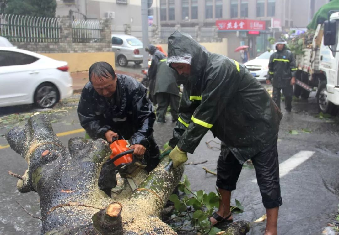 台风利奇马成风王(台风利奇马成风王走向)