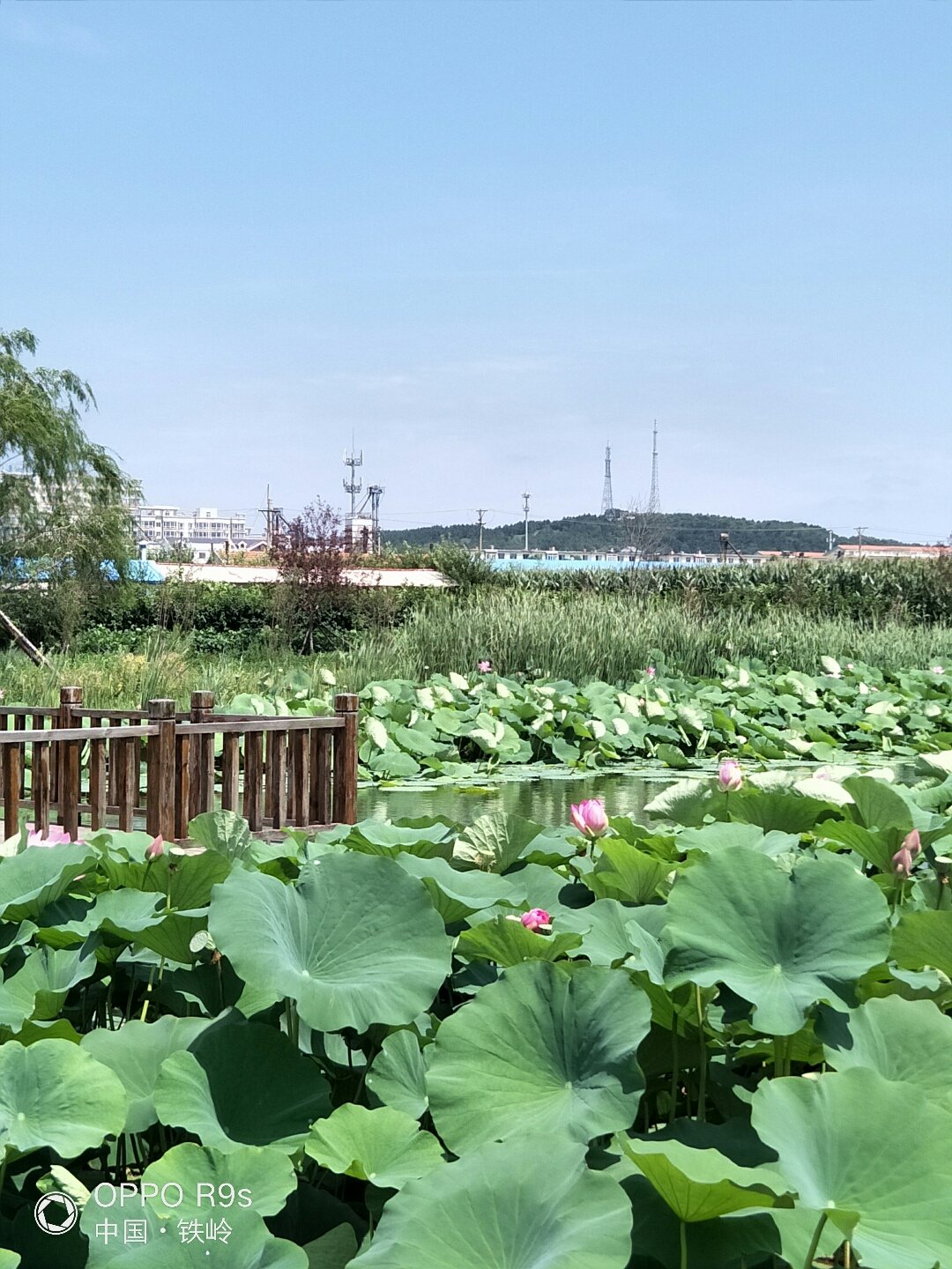 西丰天气(西丰天气预报2345)