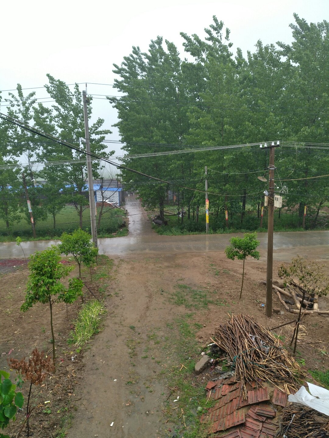 项城天气预报(项城天气预报40天查询精准)