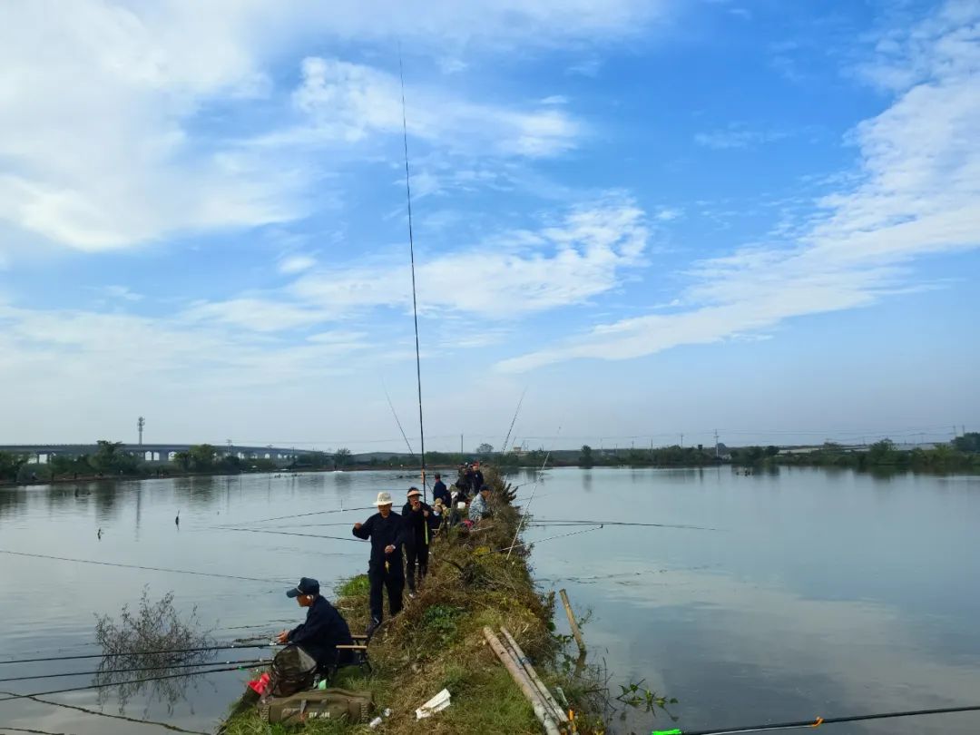 邳州钓鱼(邳州钓鱼大师名单)