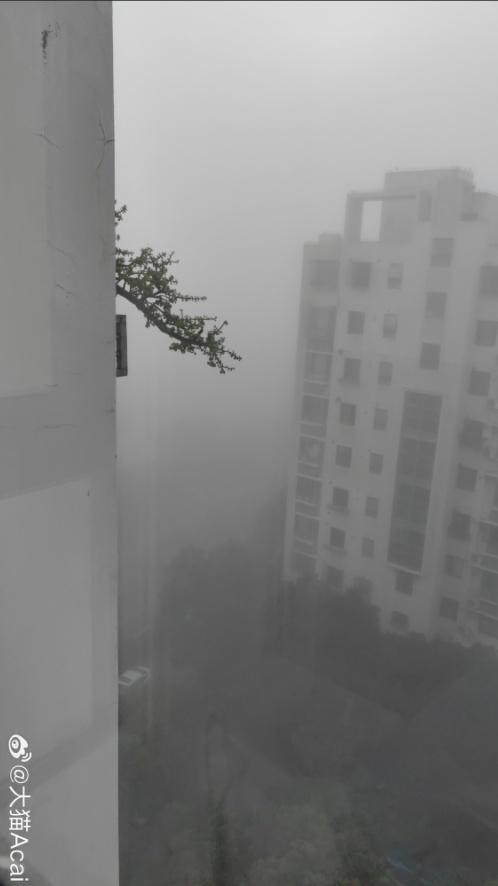 pm2.5上海(pm25上海美领馆空气质量)