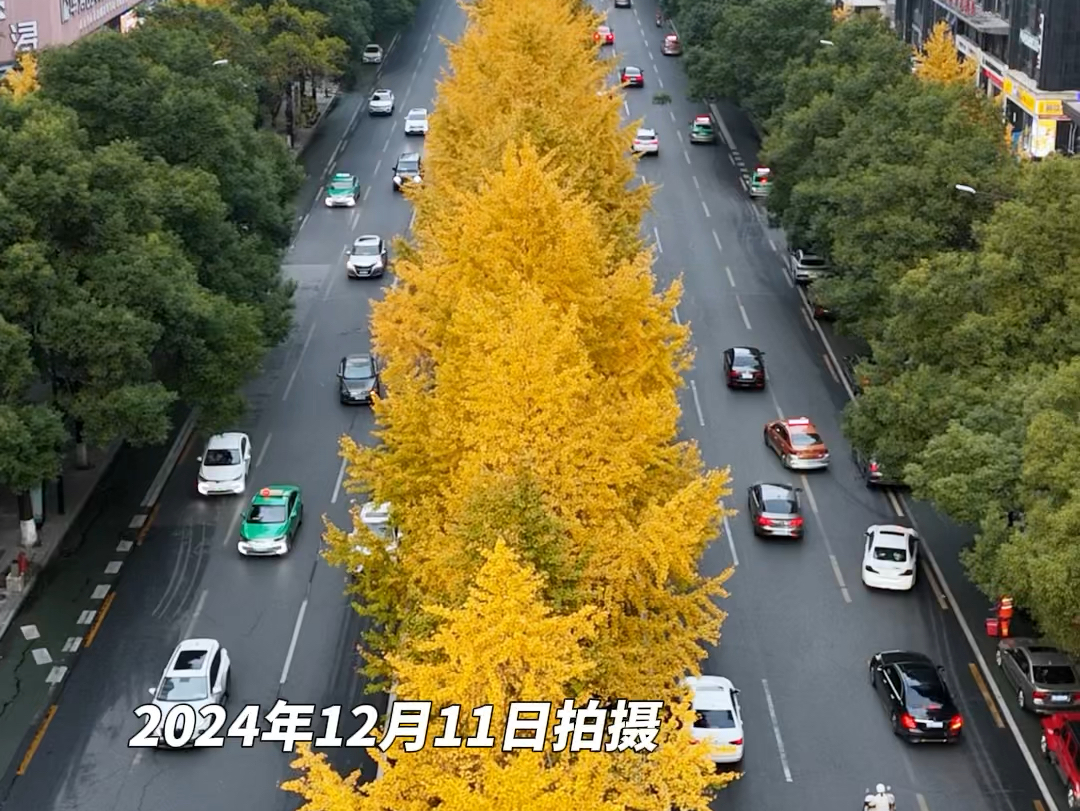 株洲天气(株洲天气即将大反转)