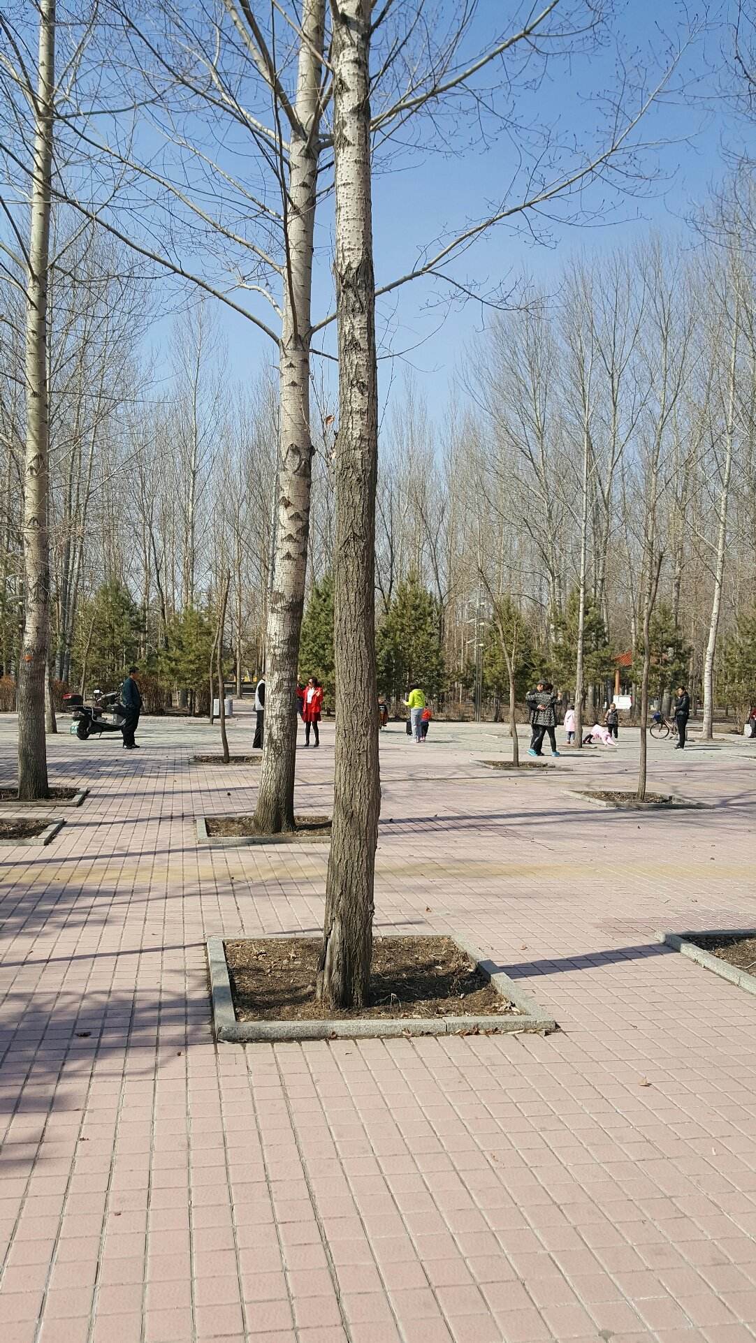 青冈天气(青冈县最大杀人案)