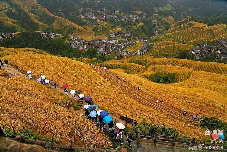 龙脊天气(广西龙脊天气预)