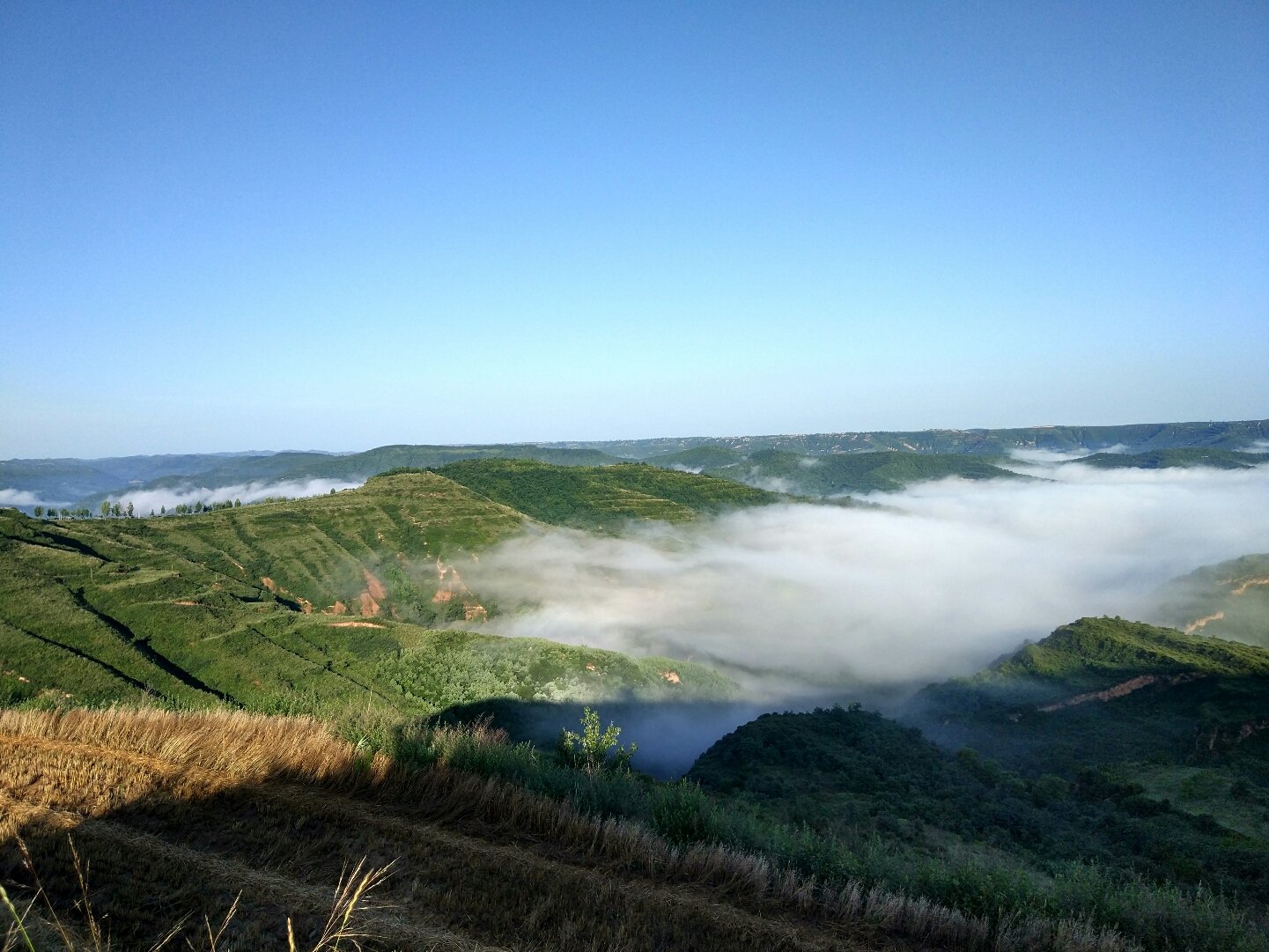 麟游县天气预报(麟游县天气预报查询)