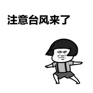 台风玲玲(台风玲玲让朝鲜受到巨大损失)