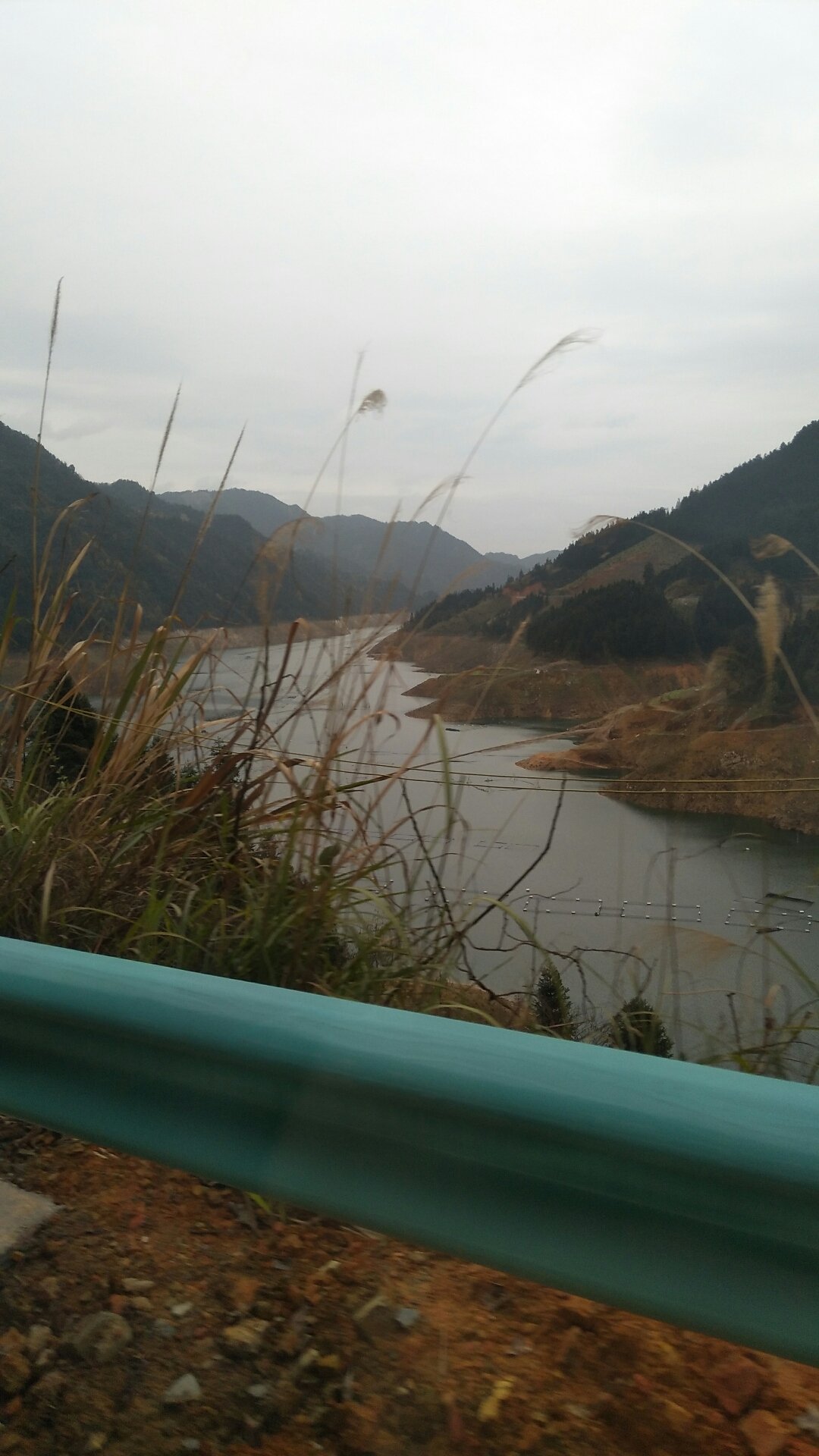 三穗天气预报(广东湛江“85后”县长被双开)