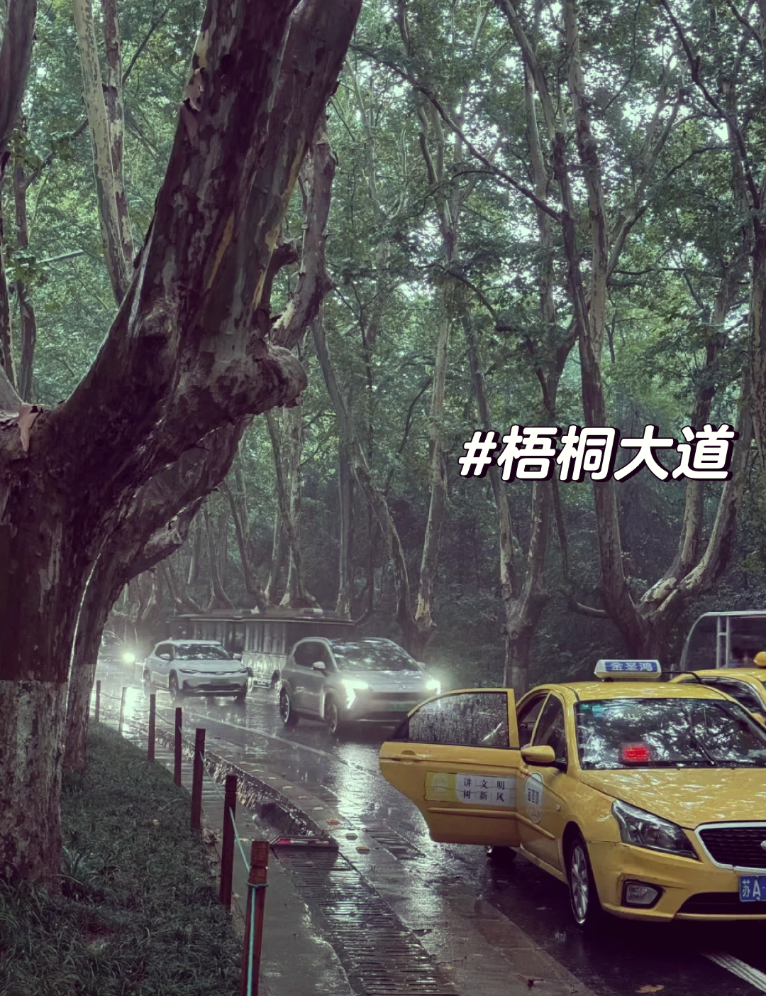 南京下雨(南京下雨天能玩的景点)