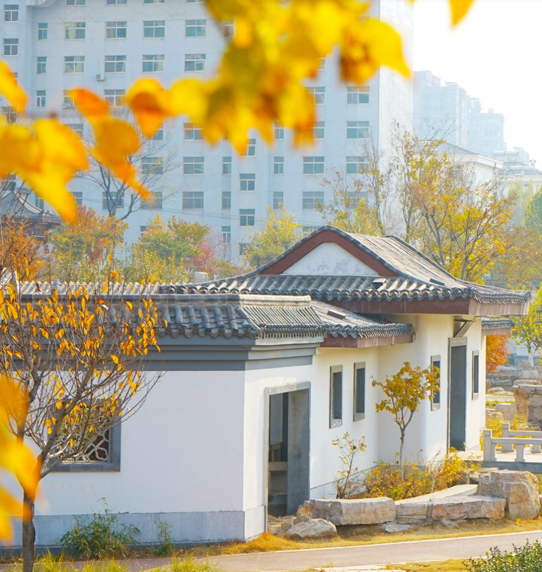 寿光天气2345(寿光历史天气查询2345)