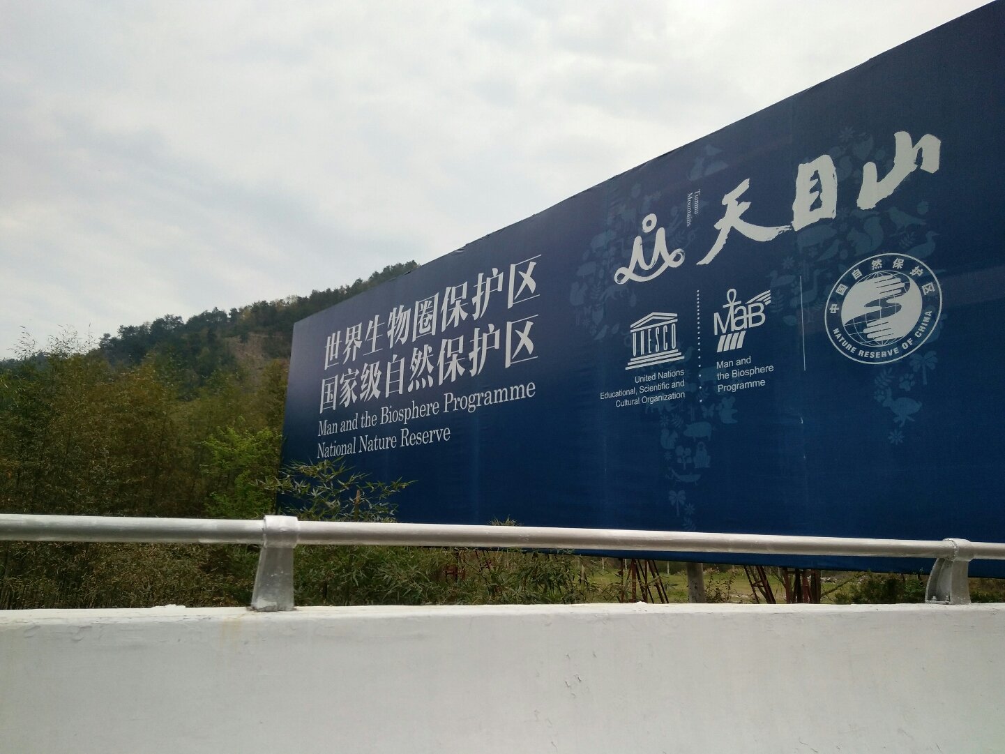 临安天气预报(临安天气预报7天准确)