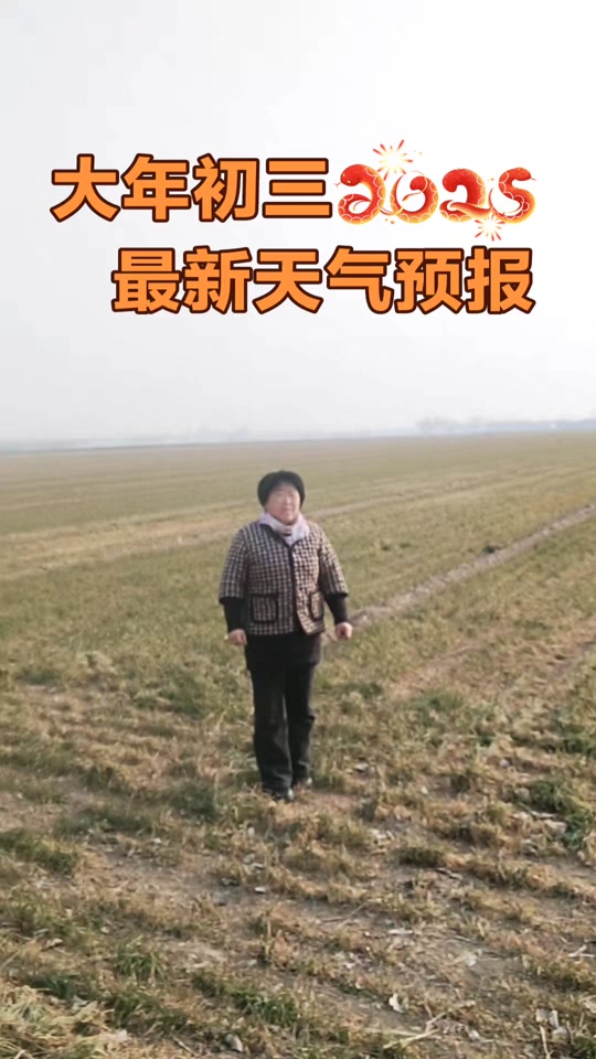 泾阳天气(泾阳四大美女)