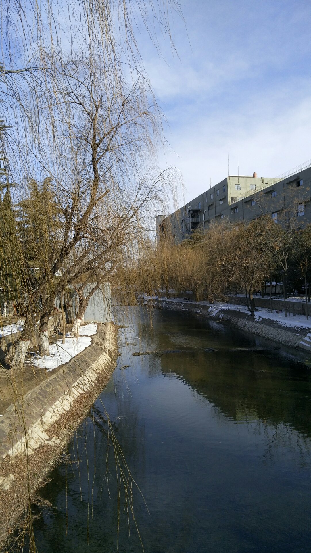 开封市天气预报(开封市天气预报24小时)