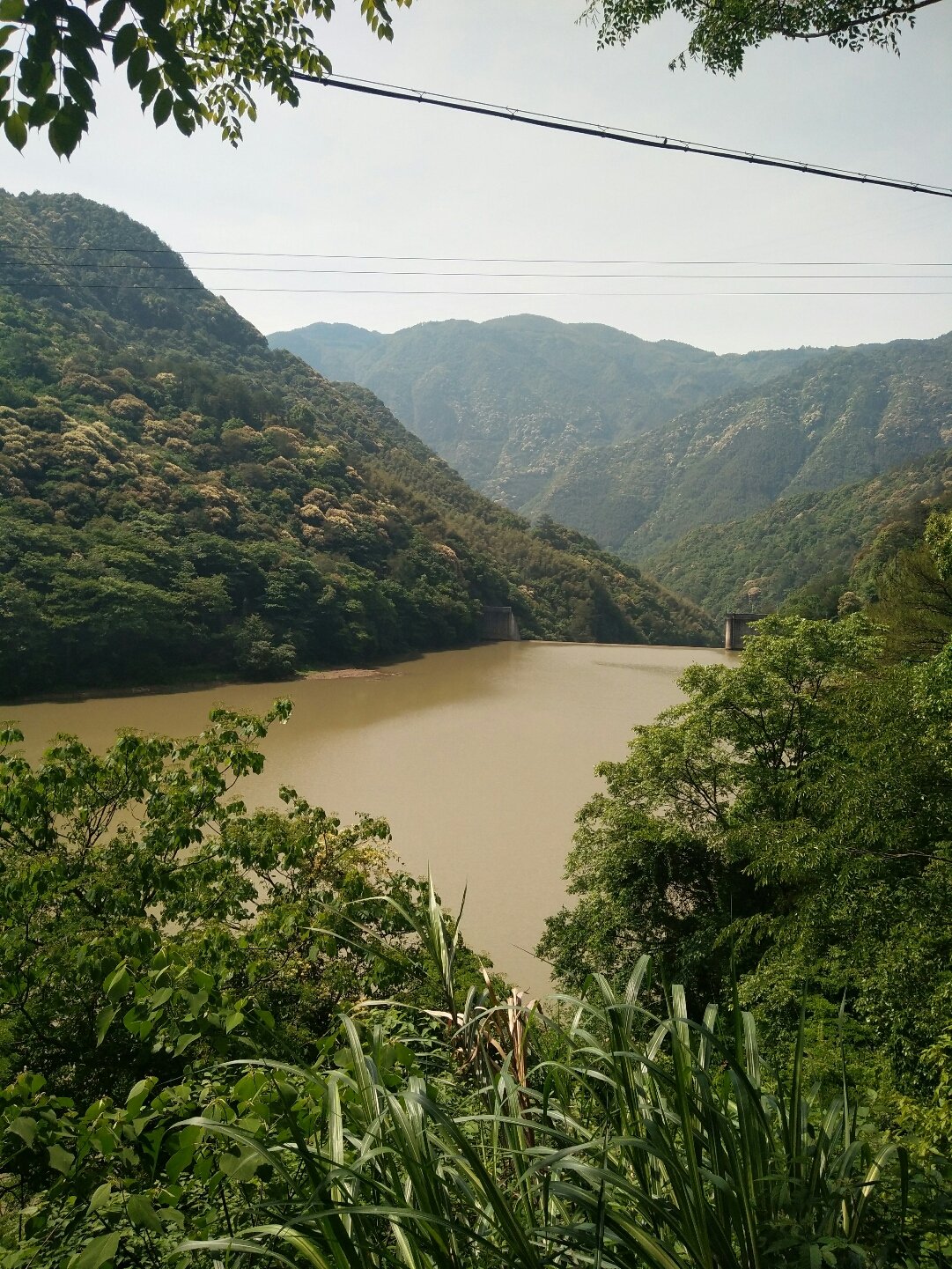 龙泉天气预报(龙泉天气预报24小时)