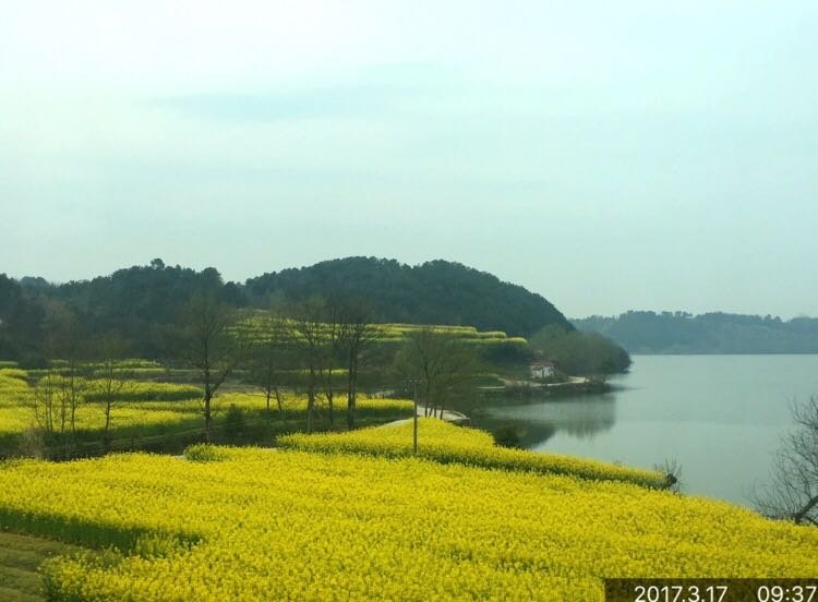 浠水天气预报(浠水为什么叫土匪县)