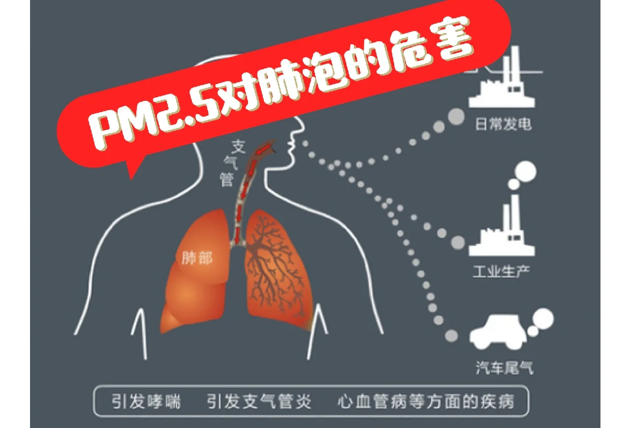 成都pm2.5(成都pm25指数)