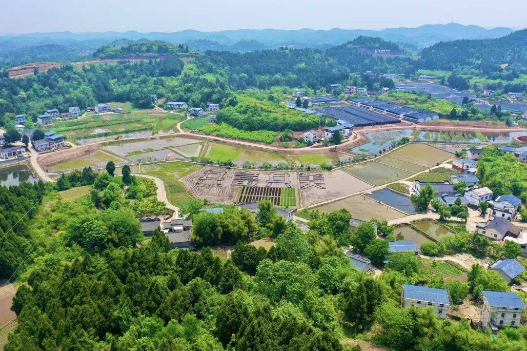 蓬溪(蓬溪县人民医院)