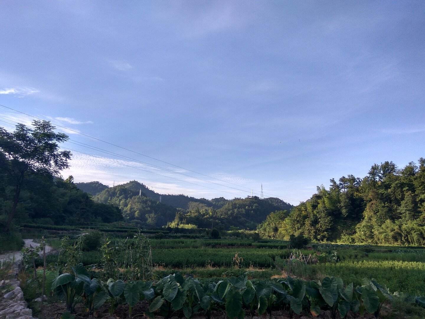 缙云天气(缙云天气查询)