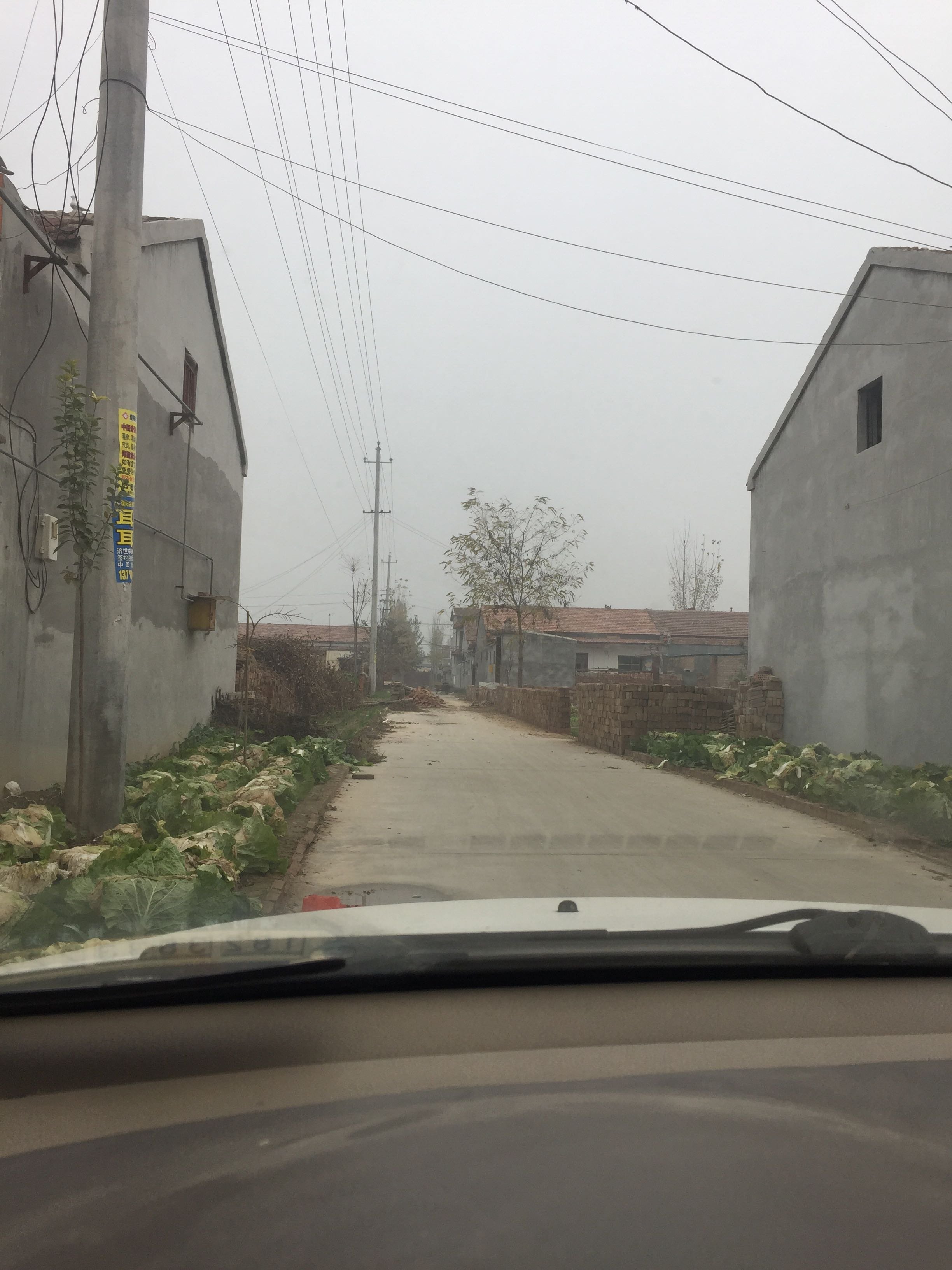范县天气预报(范县杨集乡杀人案件)
