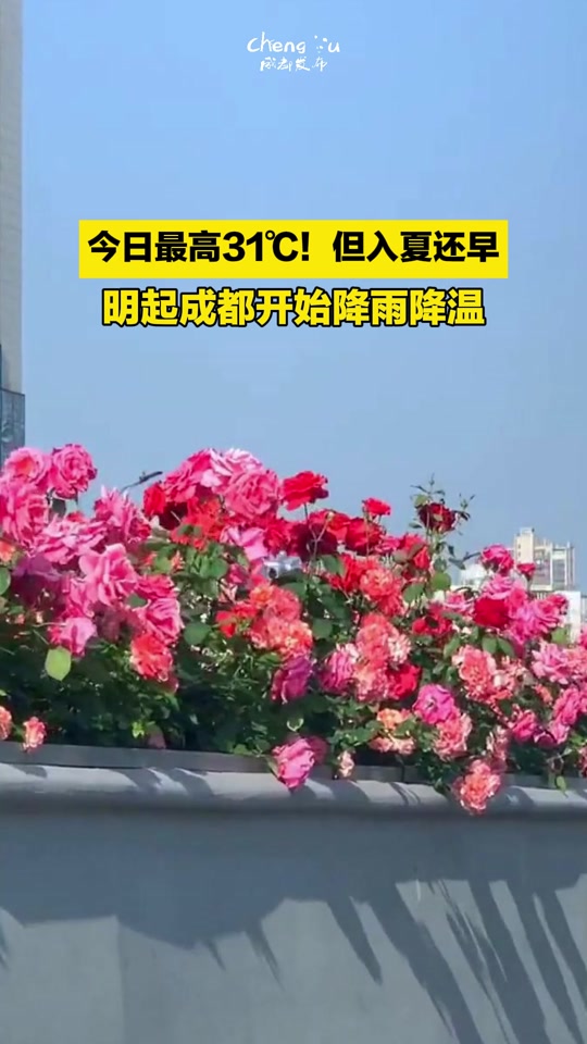 成都未来40天有36天降雨(四川成都未来40天的天气预报)