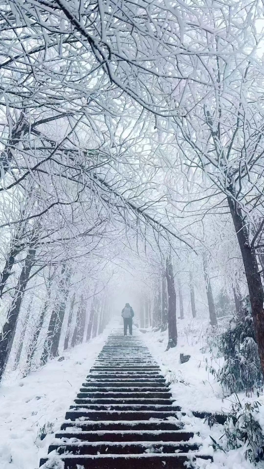 诸暨天气(诸暨天气24小时预报)