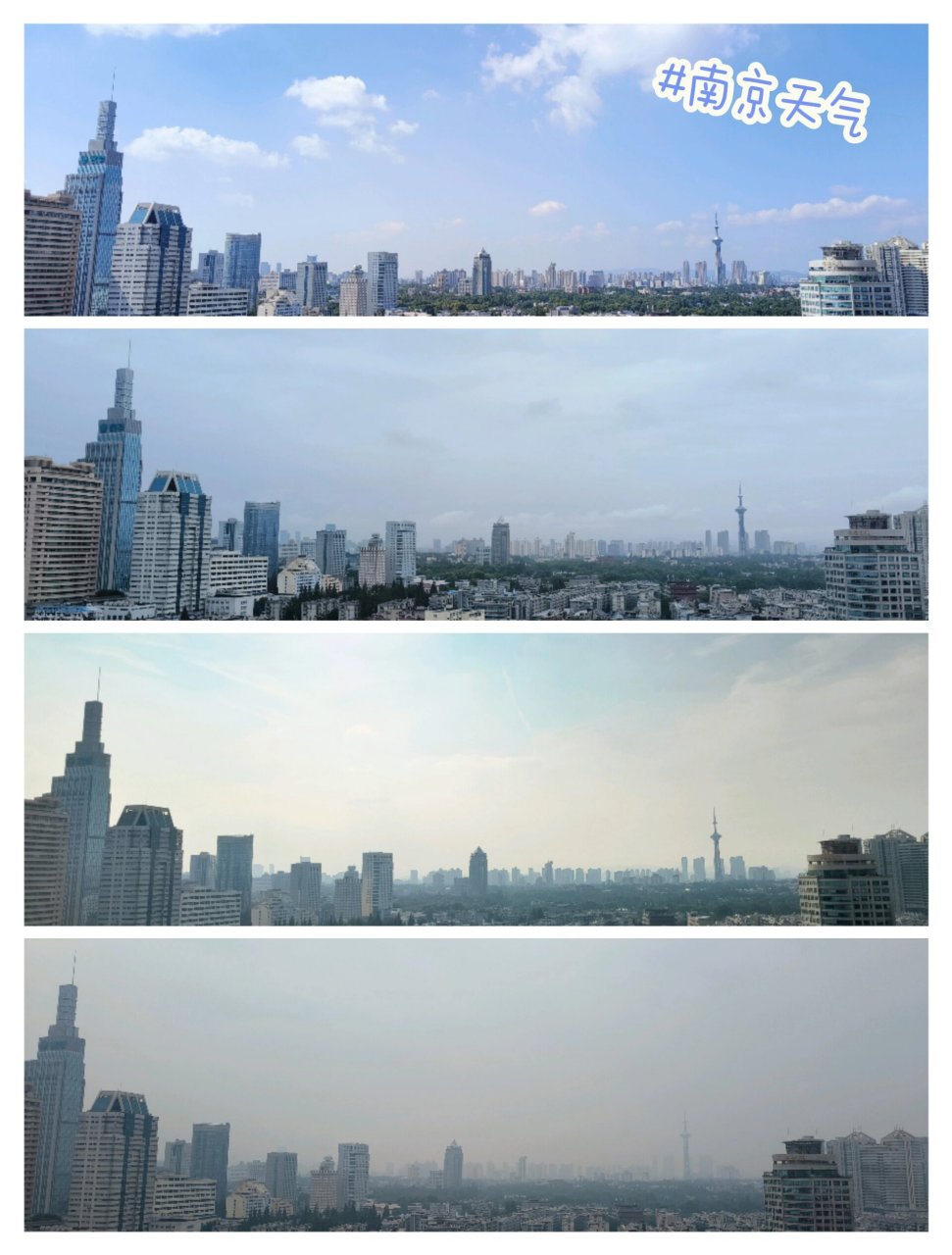 南京的天气(南京的天气预报)