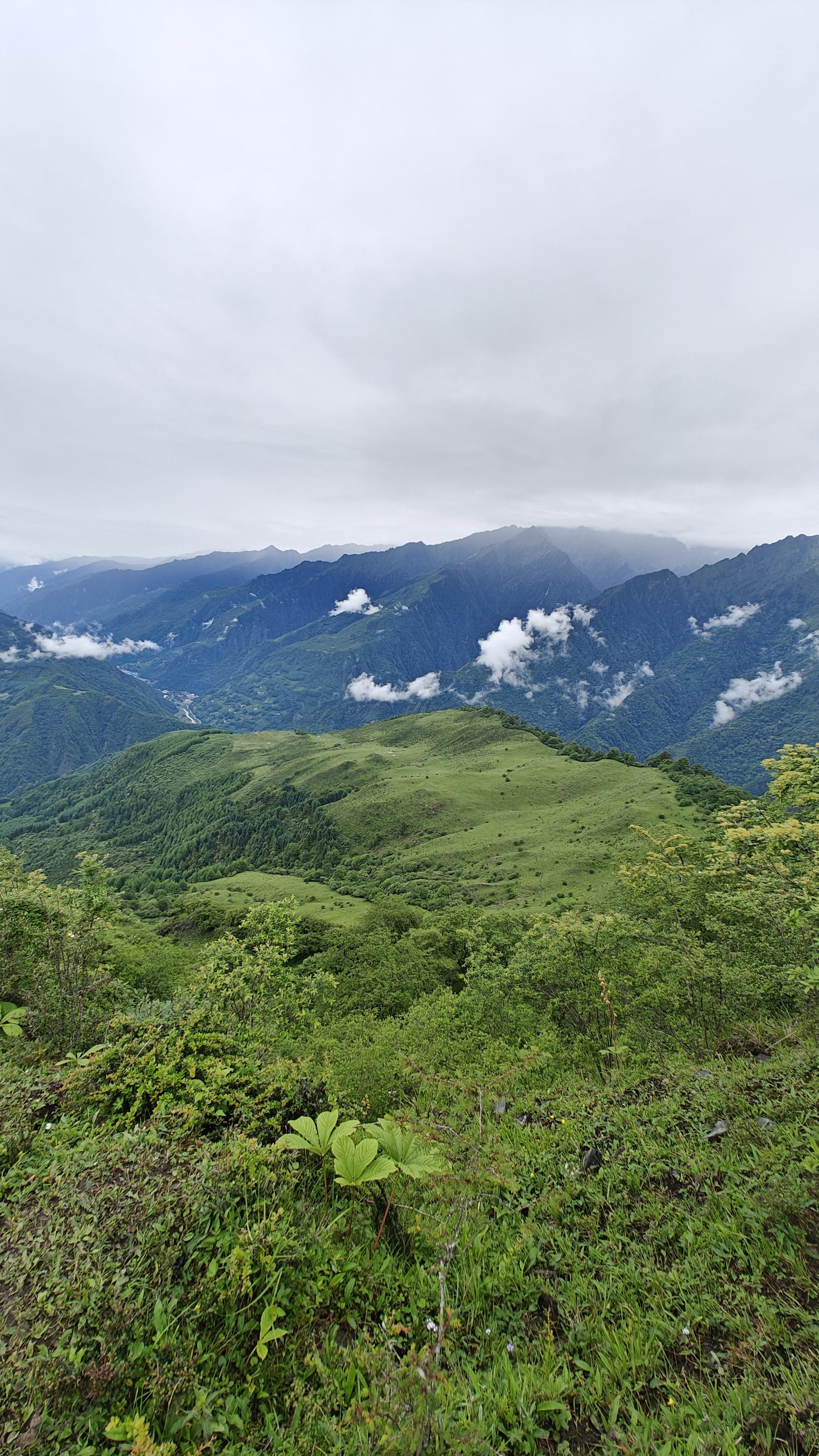 汶川天气(汶川天气有多少度)