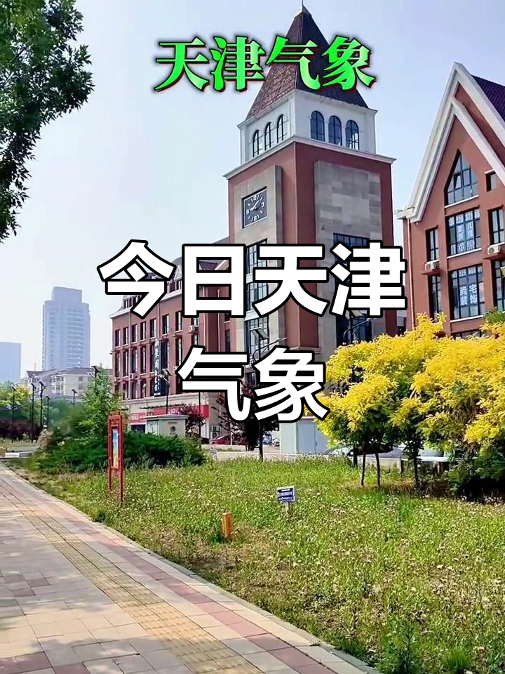 天津明天天气(2025天津将迎暴雪天气)