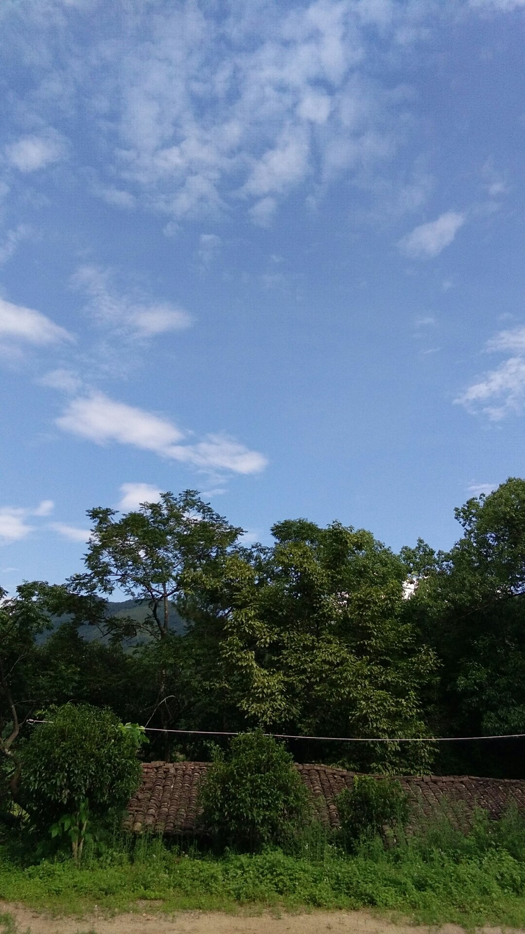 于都天气(于都天气预报30天准确 一个月)