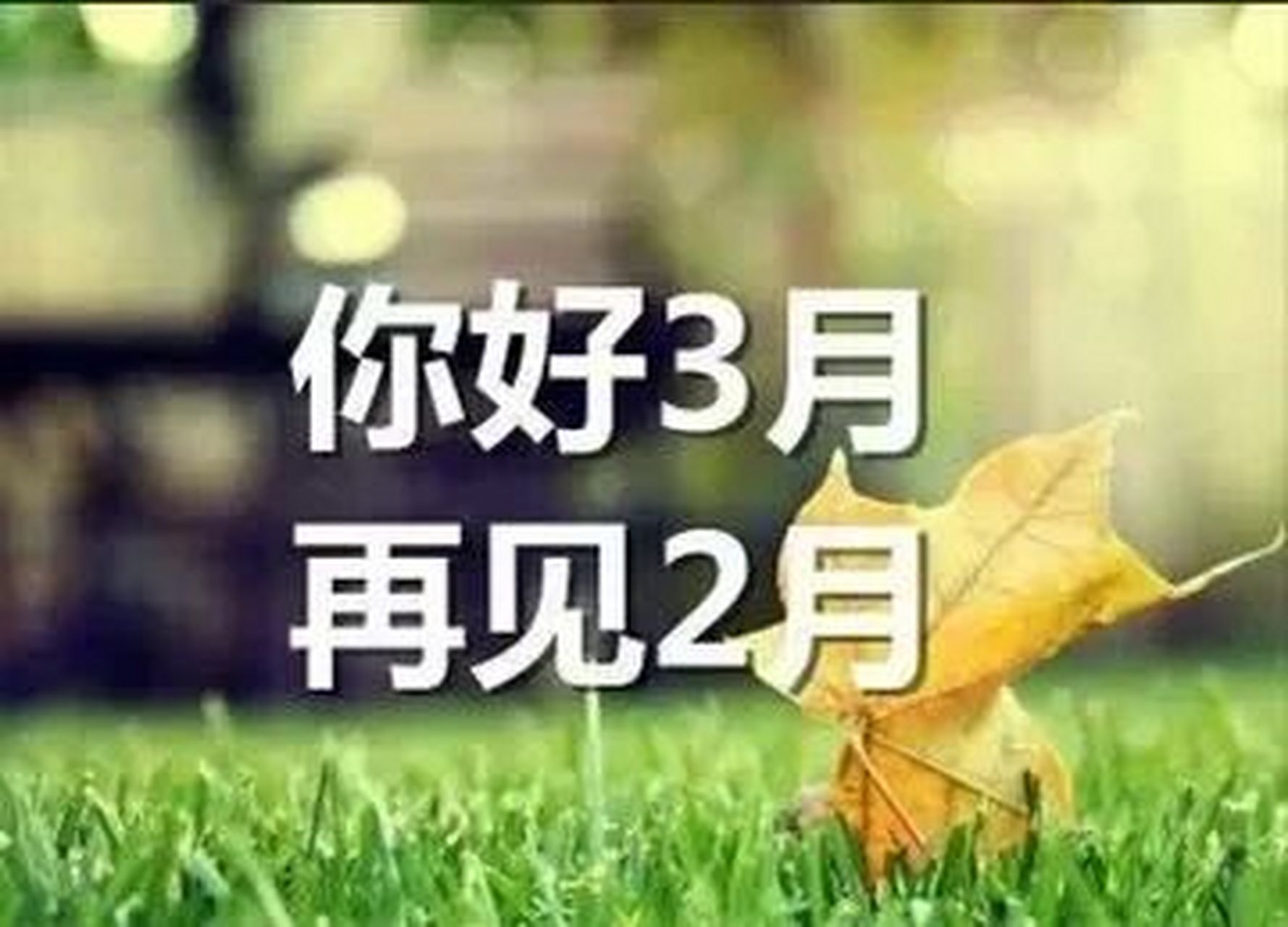 保定天气(保定天气40天)