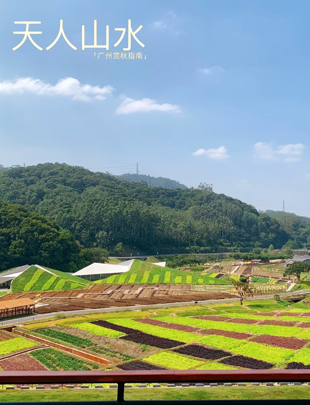 广州从化天气(广东下周将迎超强冷空气)