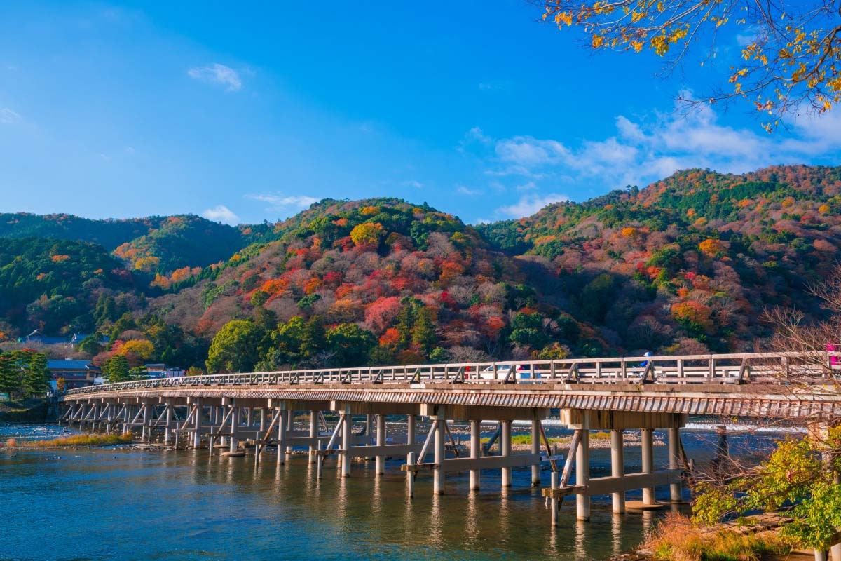 岚山(岚山是什么意思)