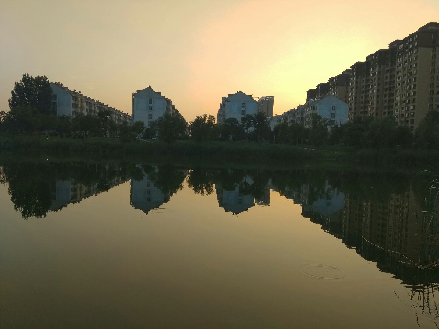 金乡县天气预报(金乡县天气预报30天)