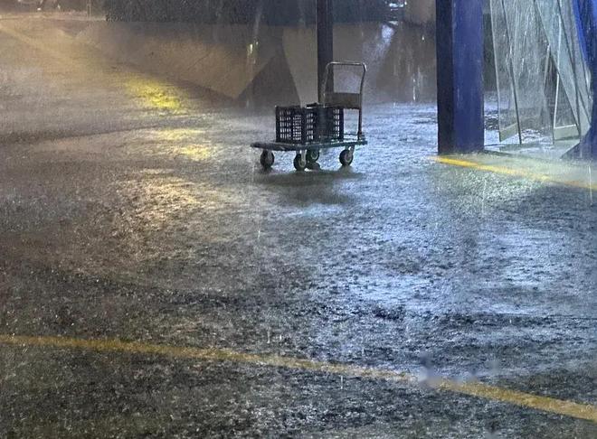 大暴雨(大暴雨英文)