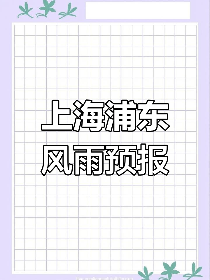 浦东天气(浦东天气预报最新消息)