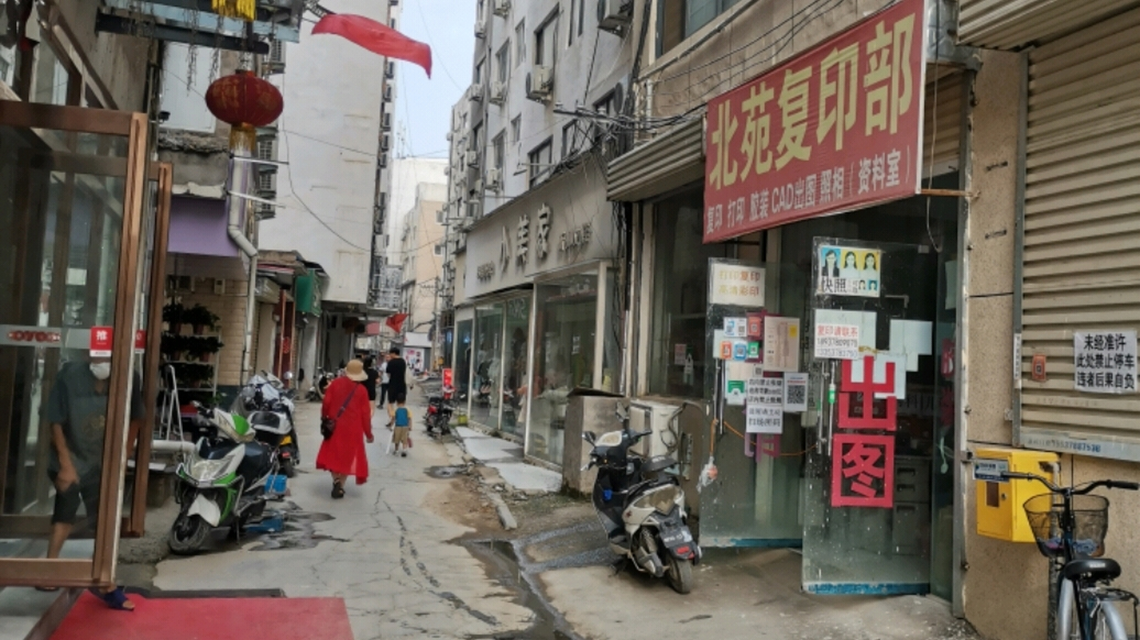 新河(新河县天气预报)