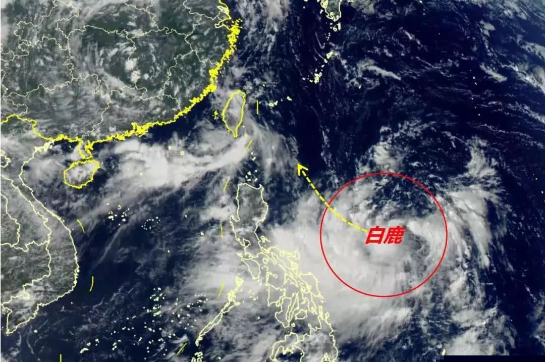 白鹿台风最新消息(台风白鹿最新消息几号登陆)