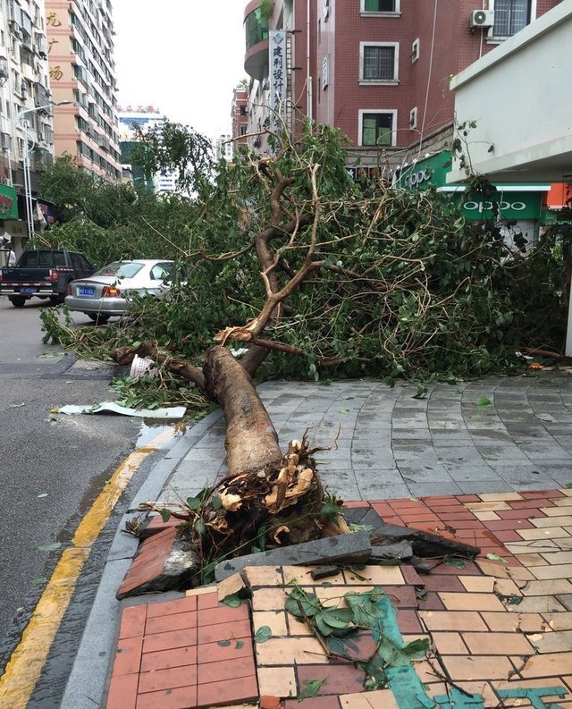 莫兰蒂台风(莫兰蒂台风是几级)