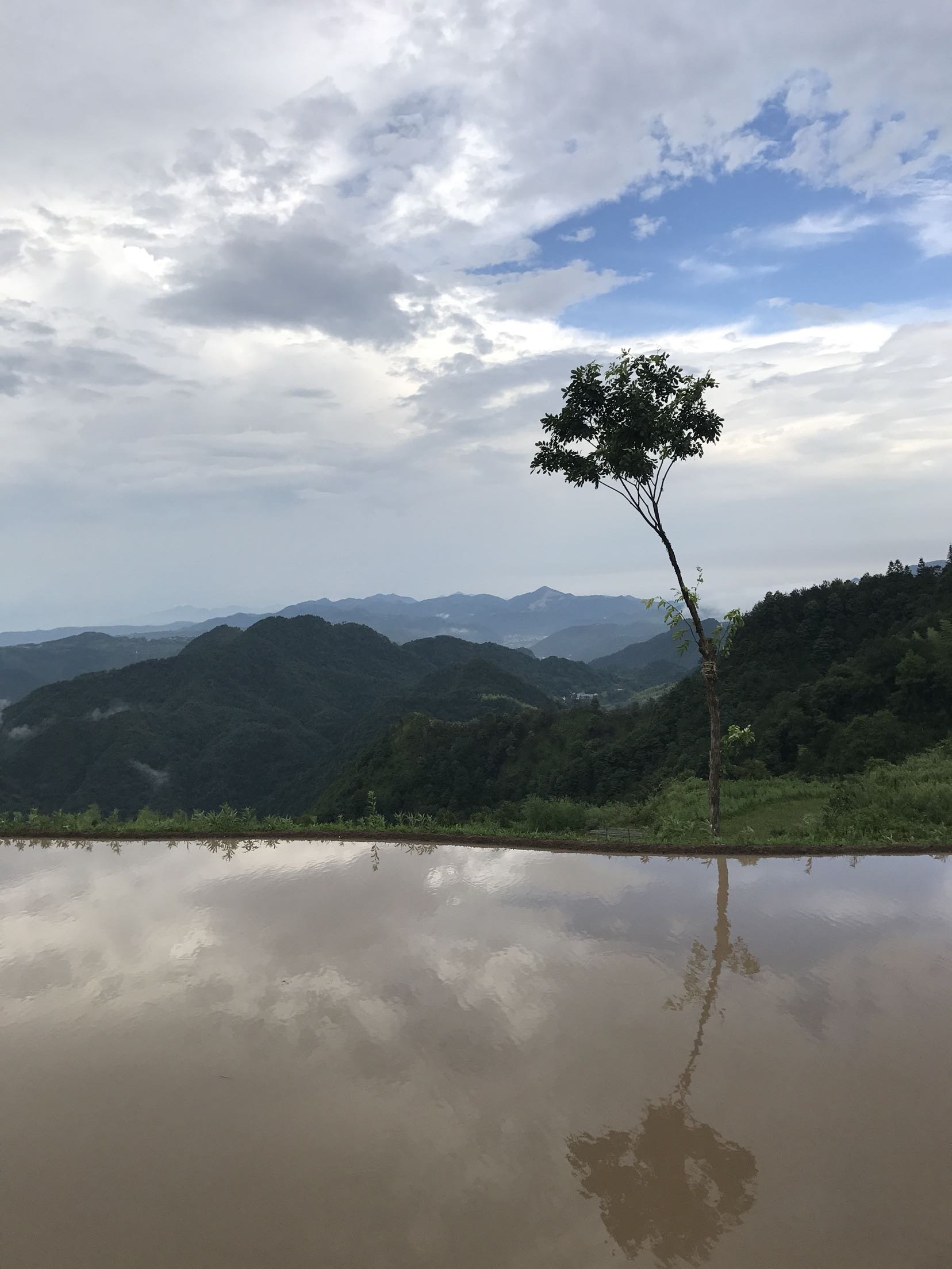 天台天气预报(天台天气预报最新)