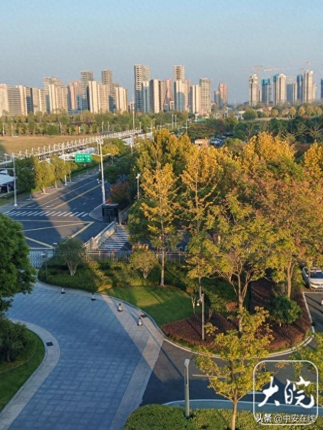 祁门天气(祁门一周天气预报)