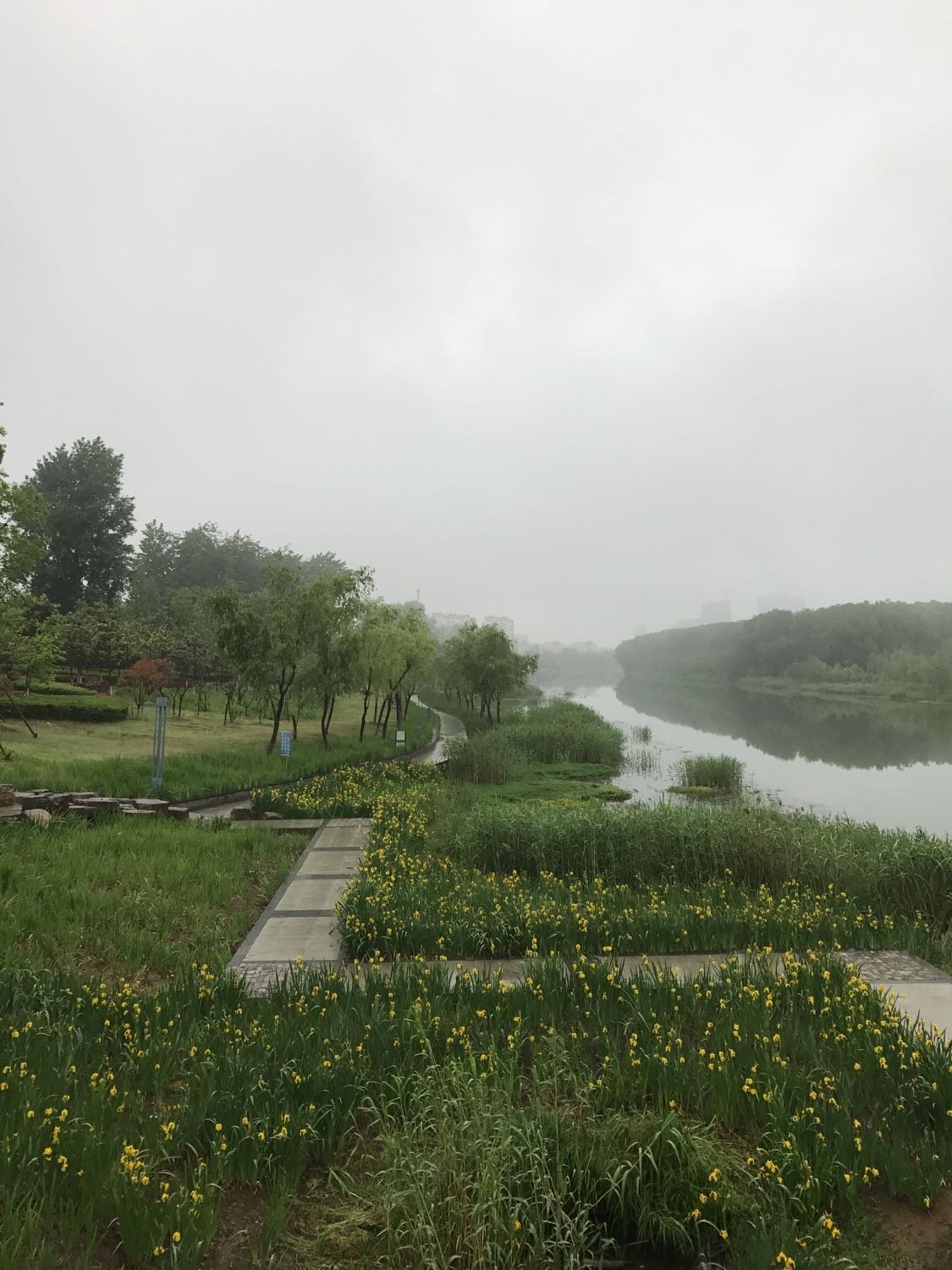 金湖天气预报(没有广告的天气预报)