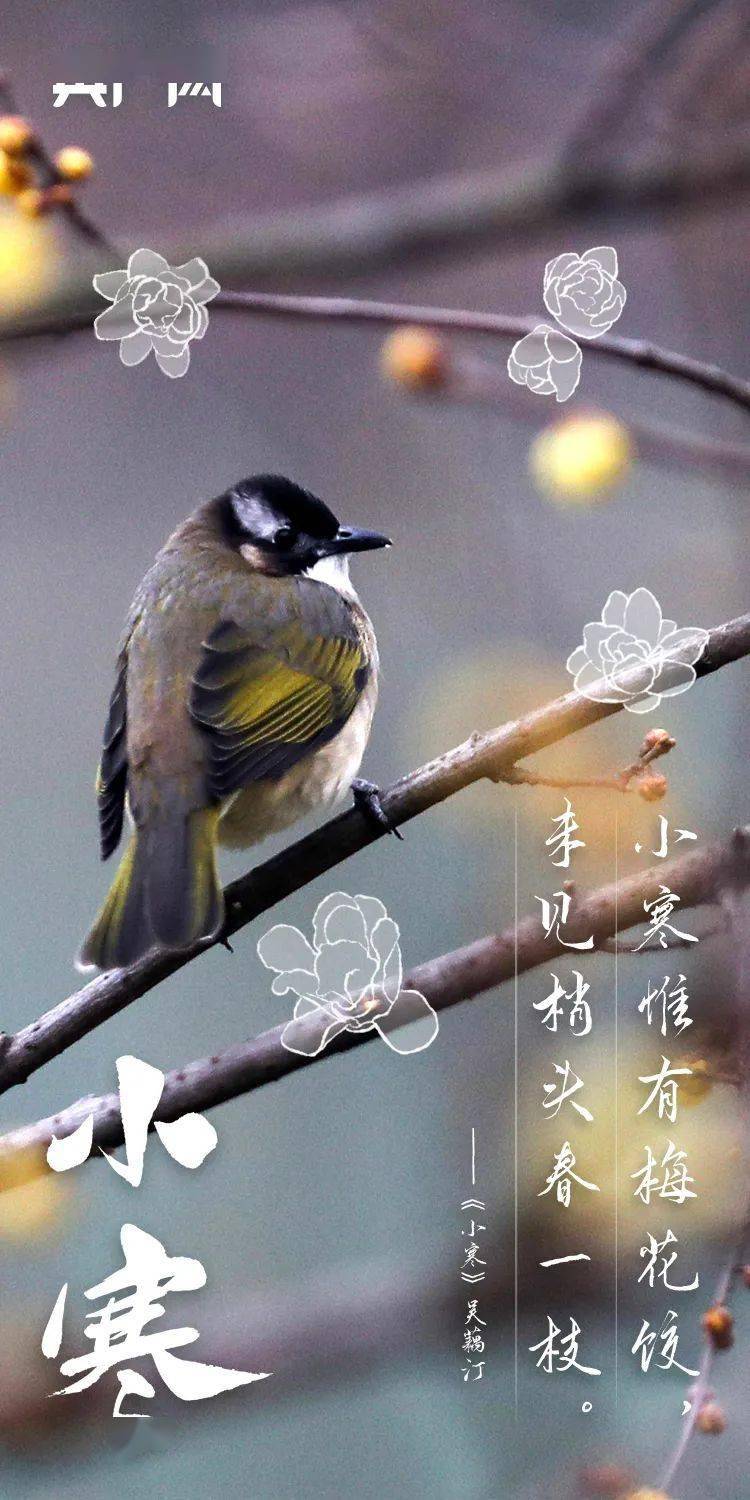 小寒天气(小寒天气冷吗)