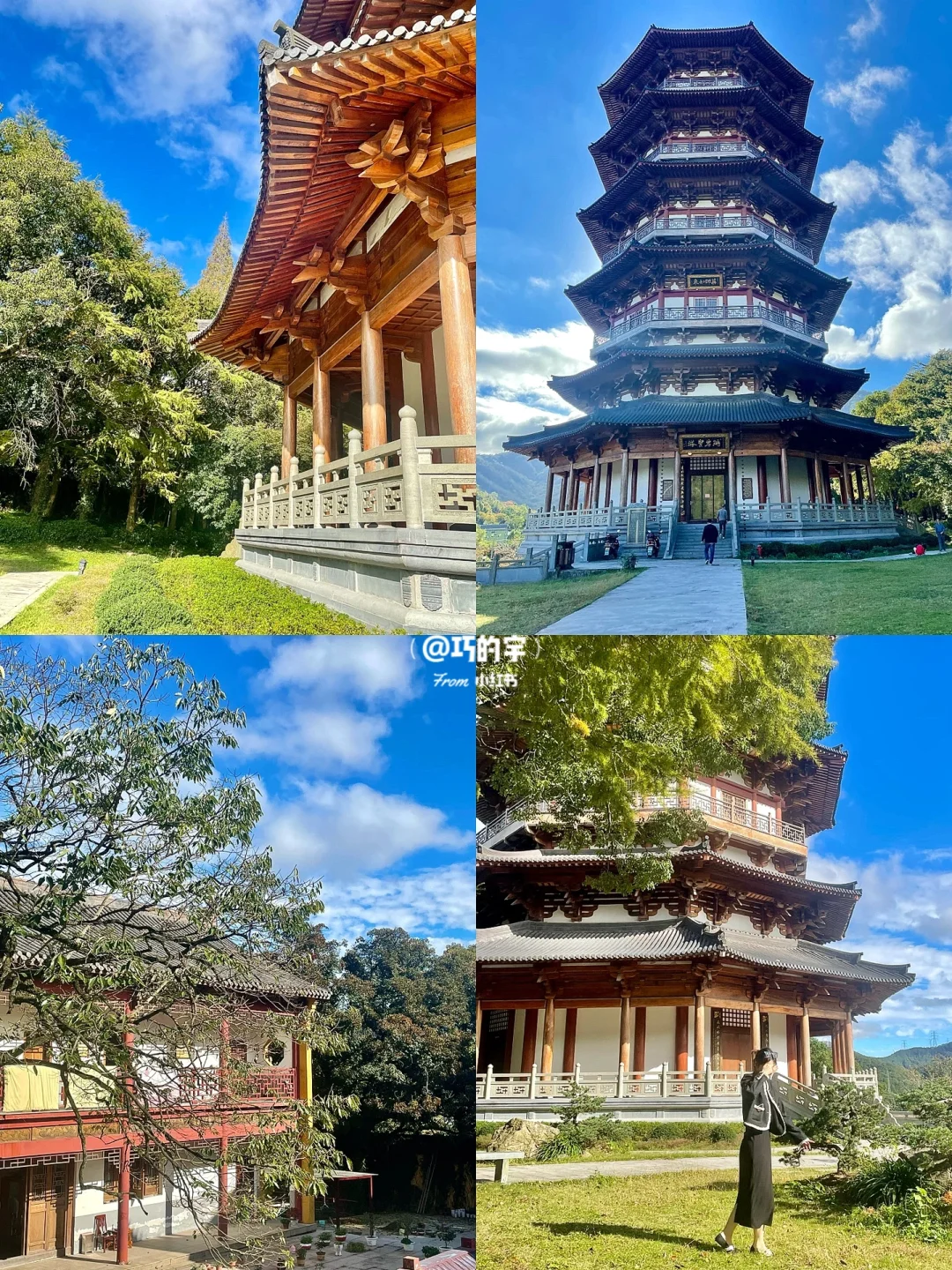 宁波北仑天气(宁波北仑实时天气)