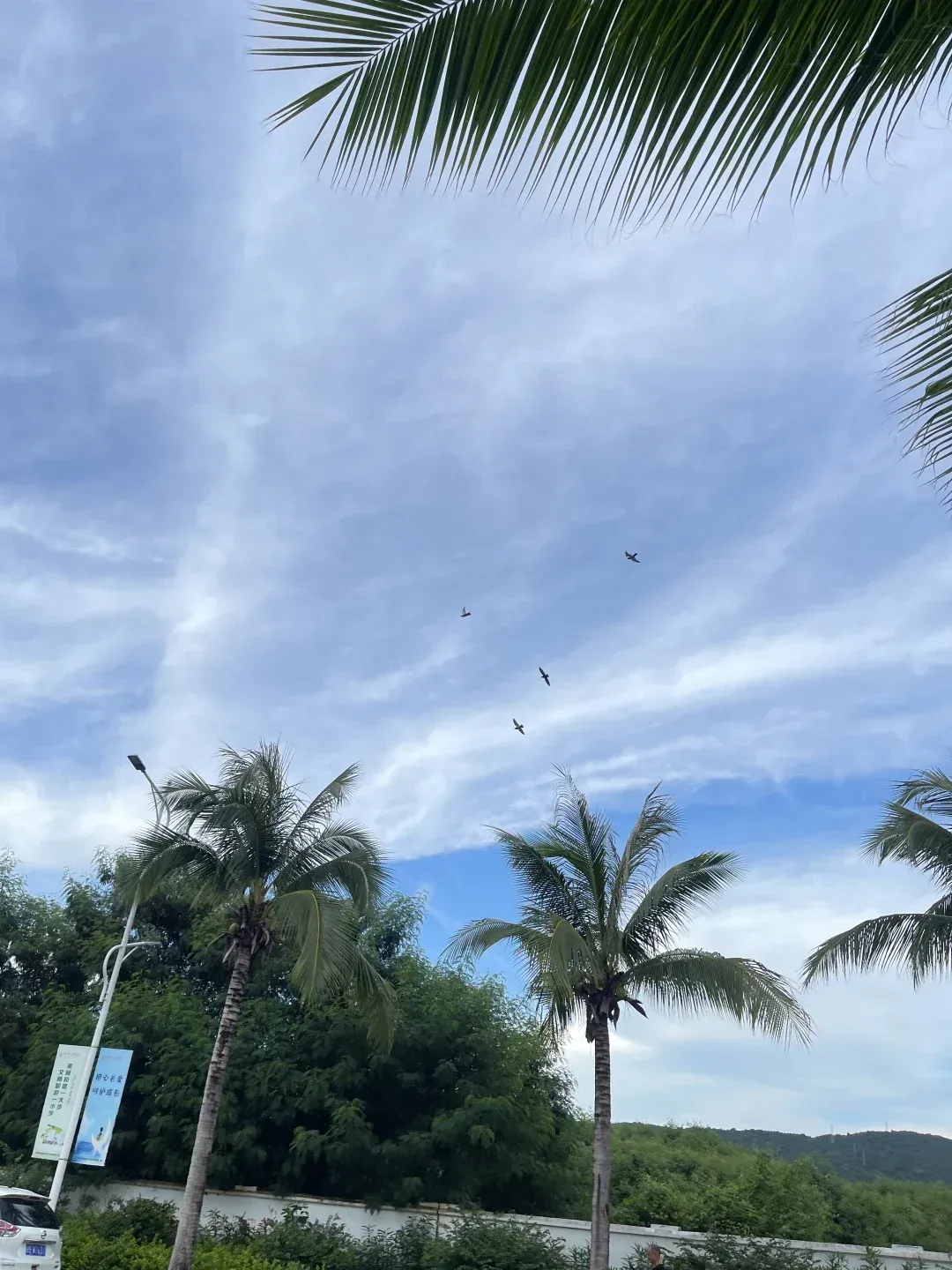 儋州天气(海南儋州天气)