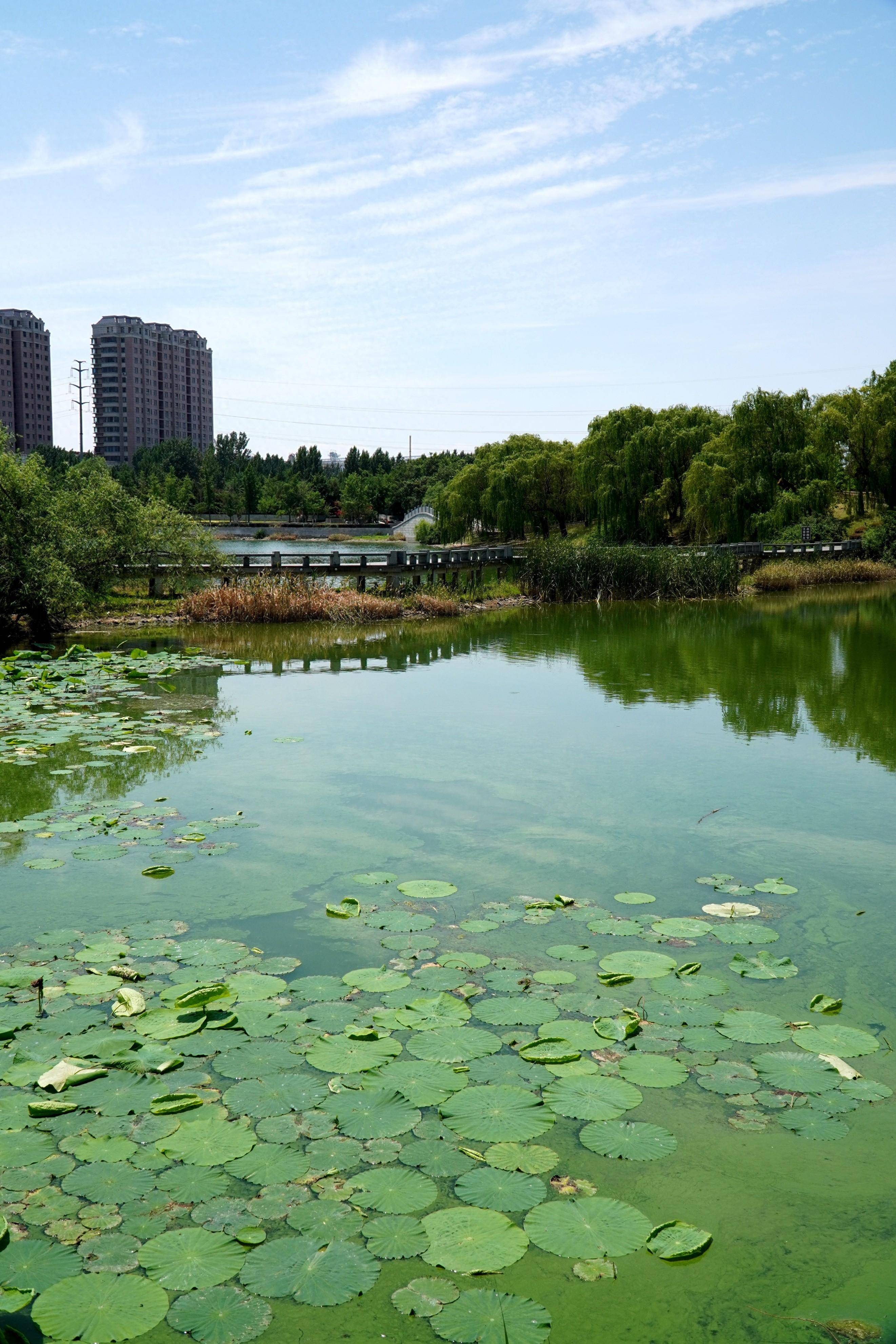 潍坊天气(潍坊天气最新消息)