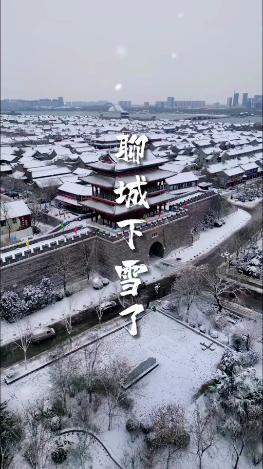 聊城市天气(聊城市天气预报30天查询结果)