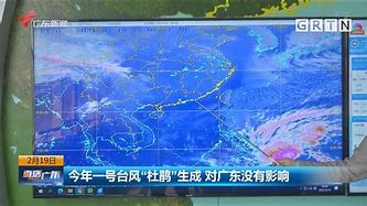 一号台风(一号台风在哪里登陆)